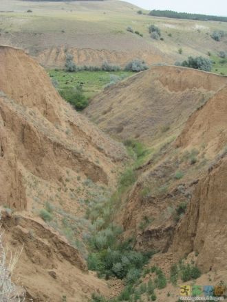 Вполне понятно, что подобные образования