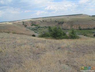 Грабены образуются обычно на участках св