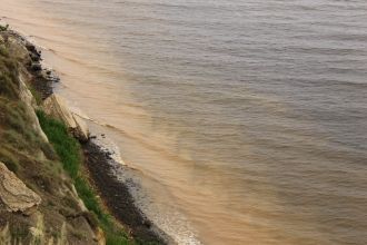 Время происходивших событии Милановским 