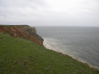 Но он по-своему интересен и представляет