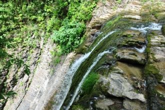 Здесь в июне можно встретить также краси