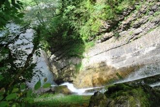 После дождя в лесу всегда много грибов. 