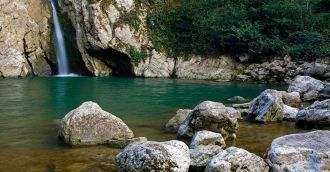 Воздух здесь всегда влажный и бодрящий.