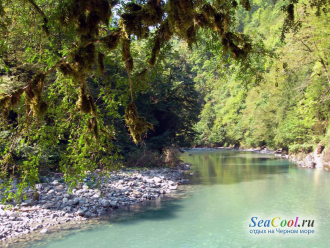Является памятником природы Краснодарско