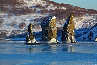 Расположенных в Камчатском крае у входа 