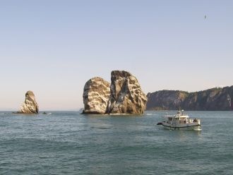 Они были настолько сильны и высоки, что 