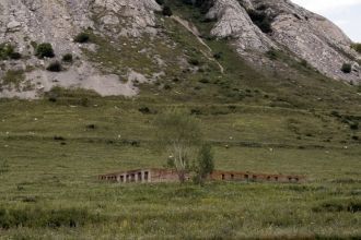 Животный мир Тратау тоже уникален – напр