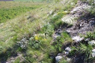 Огромная коллекция окаменелостей хранитс