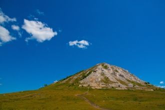 На Тратау растет более 15 видов растений
