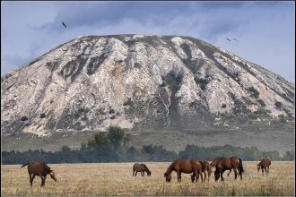 На Тратау произрастают популяции 12 рели