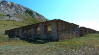 На известняковых обнажениях шиханов расп