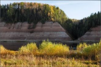 Некоторые деревья на склонах оврагов нак