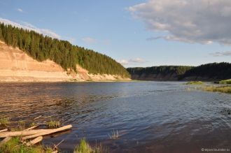 Флора урочища уникальна: лиственницы и п