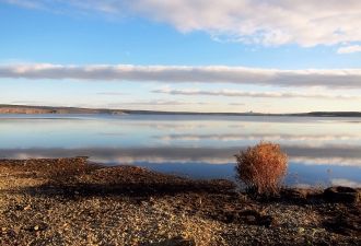 В листвягах и сосняках, расположенных на