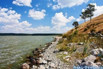 В окрестностях озера Ургун произрастают 