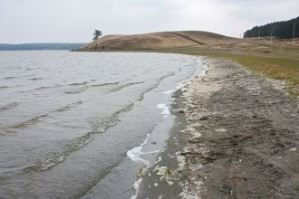 Около озера довольно много озерной лягуш