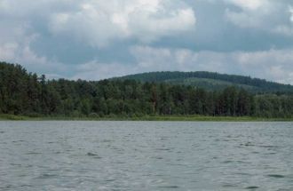 Ранее в этой зоне республики сосна и лис
