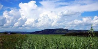 После нескольких ночевок в этом месте у 