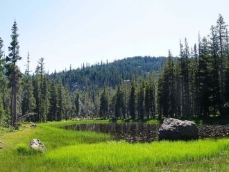 Так Беркутова гора получила название Гор