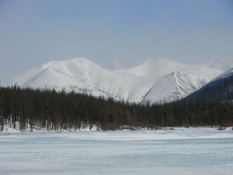 Здесь широко распространен бурый медведь