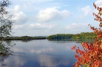 Основная лесообразующая порода Буреинско