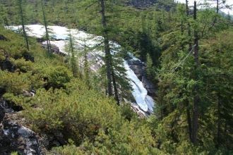 Буреинский заповедник находится в верхов