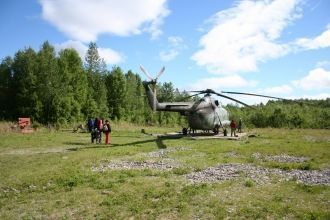 Большая часть видов произрастает на гран