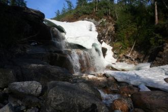 Животный мир Буреинского заповедника пре