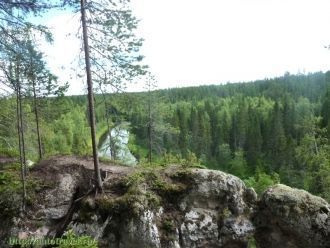 Из 213 видов сосудистых растений, включе