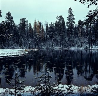 На территории заповедника имеется значит