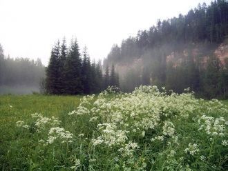Пинежский заповедник