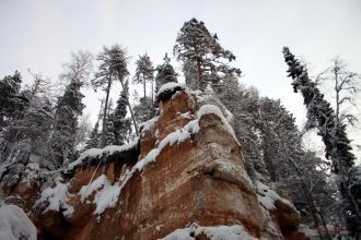 Флора и фауна заповедника богата и разно