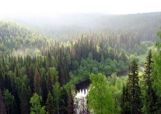 Территория заповедника занимает площадь 