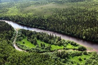 Растительность Печоро-Илычского заповедн