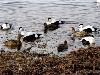 К важному достижению сотрудников Кандала