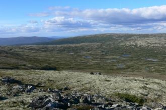 За организацией давно укрепилось звание 