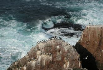 Заповедник, таким образом, является морс