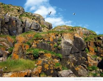 На территории заповедника проходят практ