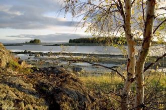 Континентальные участки Кандалакшского п