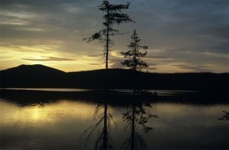 Птичьи базары характерны для архипелага 