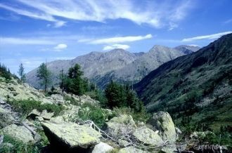 Кроме них Алтайский заповедник знаменит 