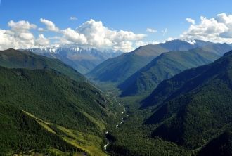 Растительный мир представлен более чем 7