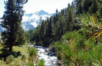 В южной своей части Катунский заповедник