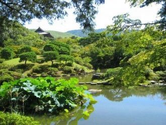 И все же прекрасных, вызывающих восхищен