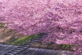 Самые большие и известные японские город