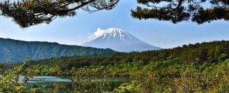 Настоящей «туристической меккой» Японии 