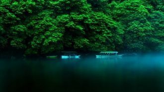 На протяжении года на остове фиксируется