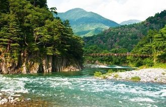 Главенствующее положение Хонсю выражено 