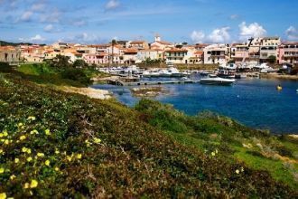 Башни достигали в 10-20 метров в высоту.