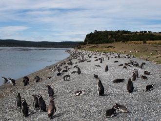 Летом солнце, которое светит почти посто